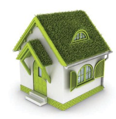 Green Home Green Home